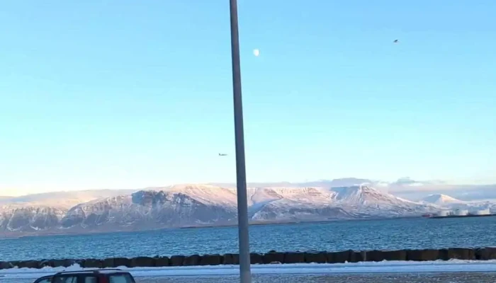 Madur Og Kona By Hallsteinn Sigurdsson Myndskeid - Seltjarnarnes