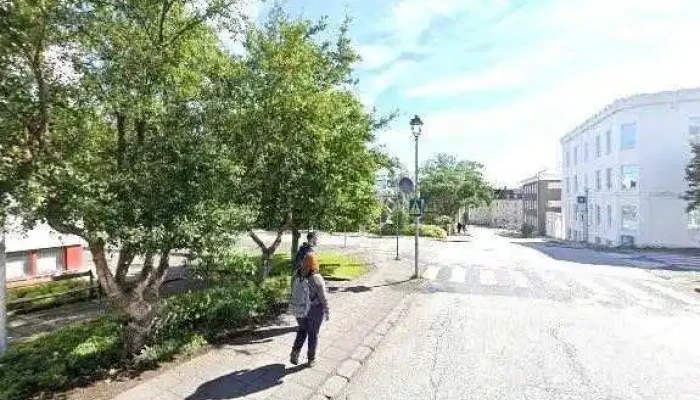 Mannrettindaskrifstofa Islands Frjals Felagasamtok - Reykjavík