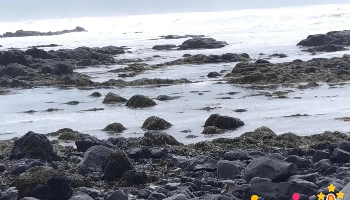 Matarmarkadur Islands Tonleika Eða Veislusalur - Reykjavík