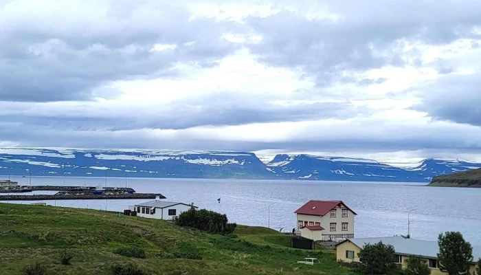 Melrakkasetur Islands Hvar - Súðavík