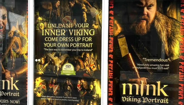 Mink Viking Portrait -  Simi - Reykjavík