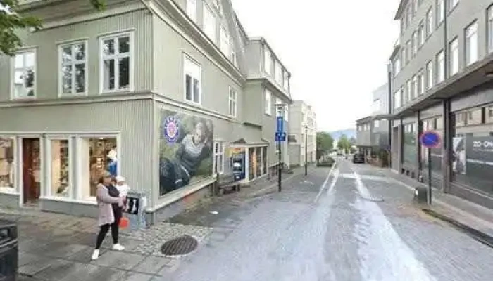 Mink Viking Portrait -  Street View 360deg - Reykjavík