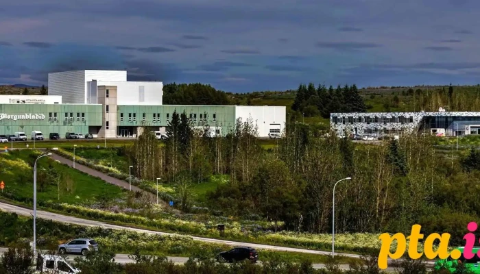 Morgunbladidarvakur Fra Eiganda - Reykjavík