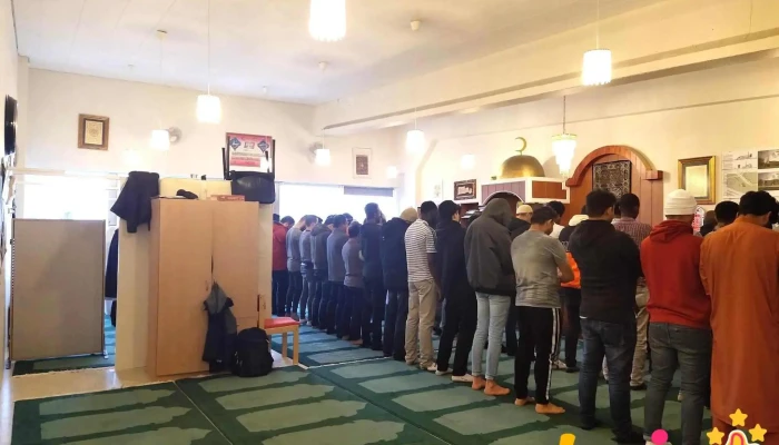 Moskan I Reykjavik Moska - Reykjavík