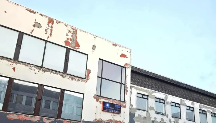 Moskan í Reykjavík - Reykjavík