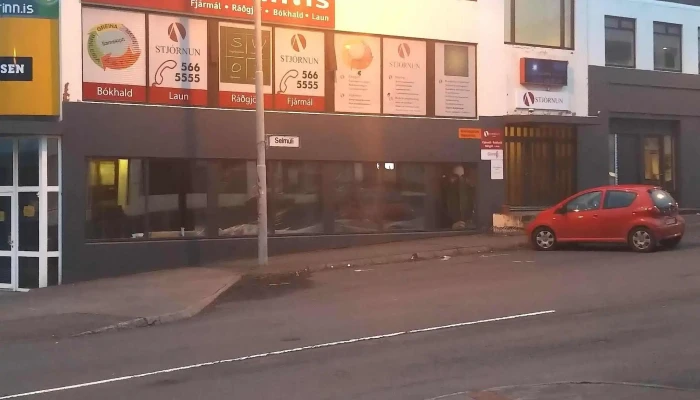 Moskan I Reykjavik Safn - Reykjavík