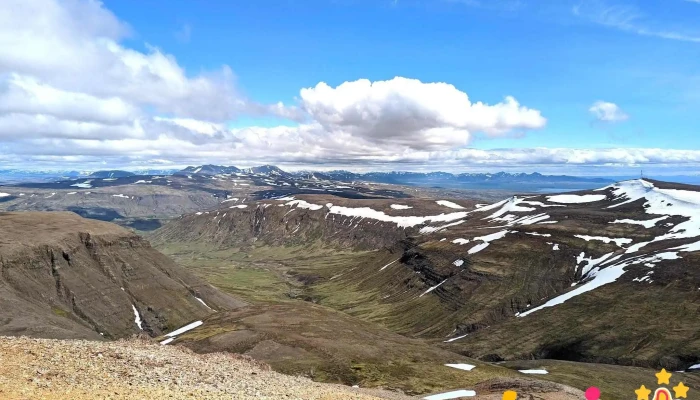 Moskardhshnukar - Ísland