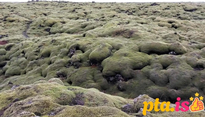Mossy Lava Fields -  Myndskeid - Kirkjubæjarklaustur