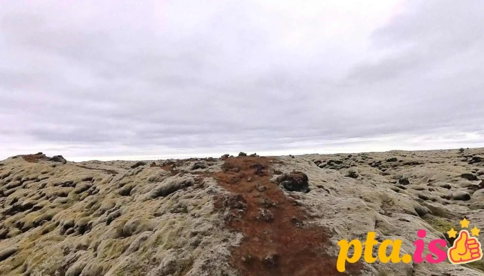 Mossy Lava Fields -  Nyjast - Kirkjubæjarklaustur