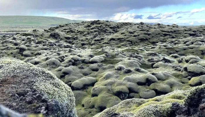 Mossy Lava Fields -  Opið Nuna - Kirkjubæjarklaustur