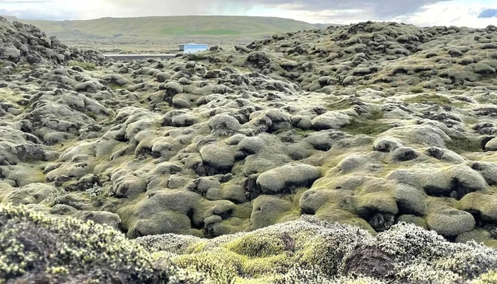 Mossy Lava Fields -  Umsagnir - Kirkjubæjarklaustur