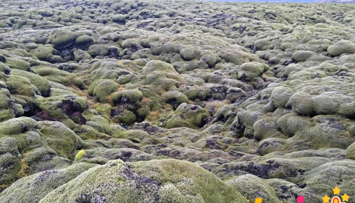 Mossy Lava Fields -  Utsýnisstaður - Kirkjubæjarklaustur
