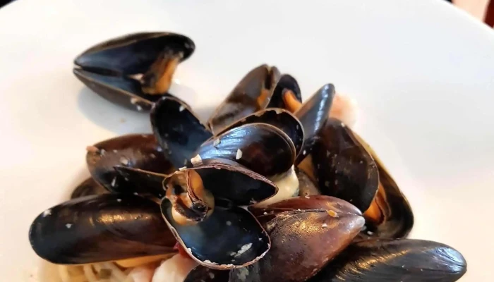 Narfeyrarstofa -  Nalægt Mer - Stykkishólmur