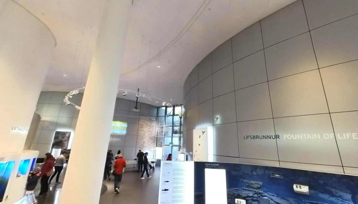 Natturuminjasafn Islands Street View 360deg - Reykjavík