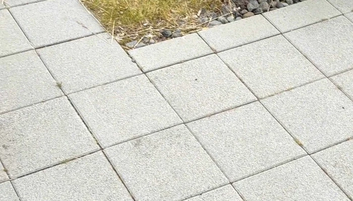 Nordurkotsvor Kynning - Reykjavík