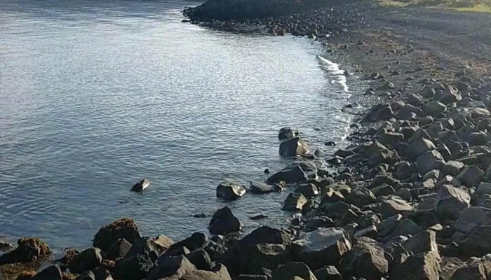 Nordurkotsvor Myndskeid - Reykjavík