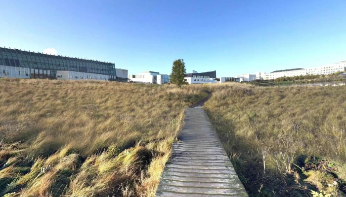 Norraena Husid Street View 360 - Reykjavík