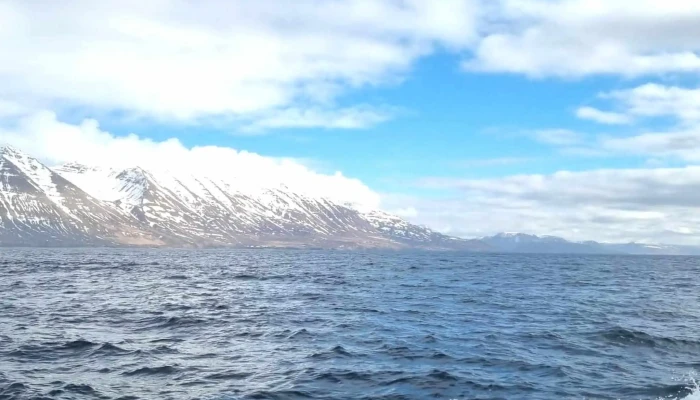 North Sailing -    Husavik Whale Watching Heimilisfang - Húsavík