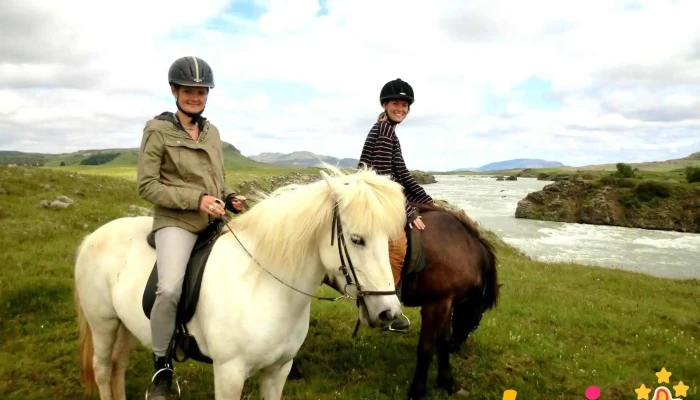 Nupshestar   Hestaferdir Hnakkur - Selfoss