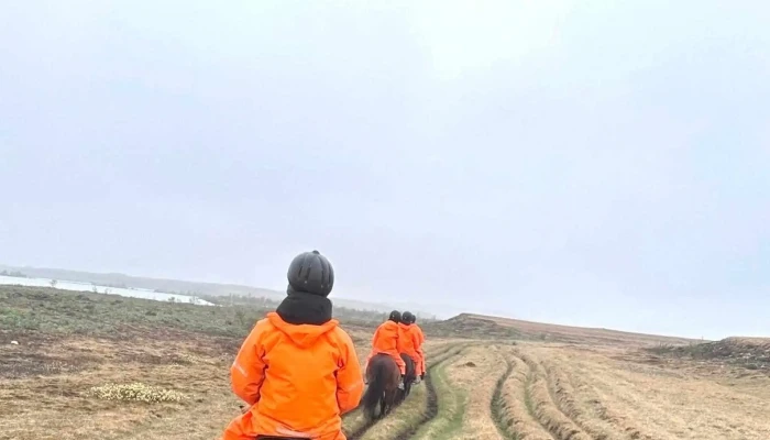 Nupshestar   Hestaferdir Kynning - Selfoss
