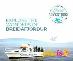 Ocean Adventures -  Bataferðir - Stykkishólmur