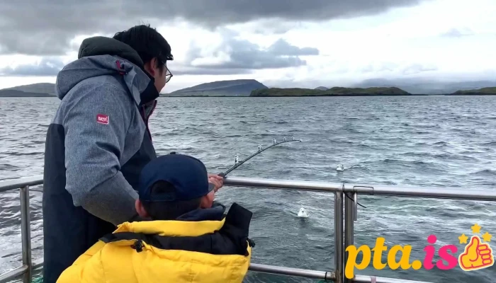 Ocean Adventures -  Myndskeid - Stykkishólmur