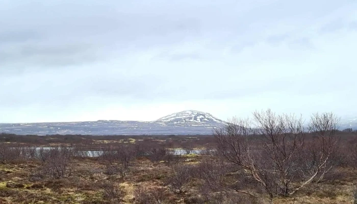 Ofugsnadi Safn - Vallarvegur