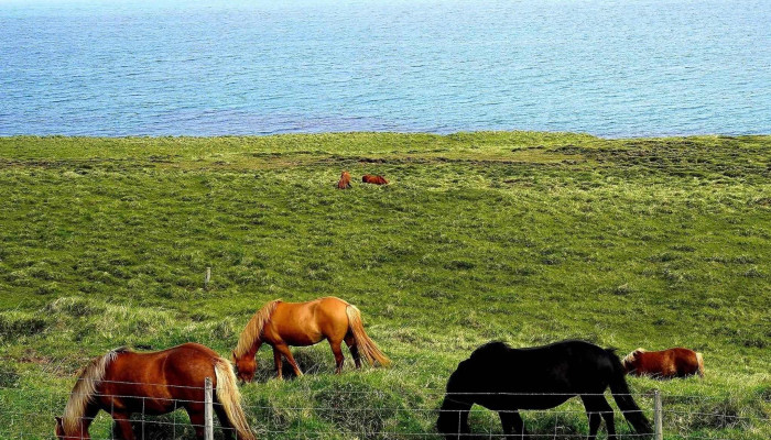 Olafsfjardarvatn Verð - Iceland