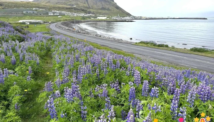 Olafsvik View Point Utsýnisstaður - Ólafsvík