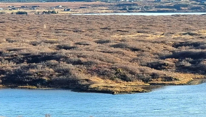 Olfusa Overlook Svæði - 35