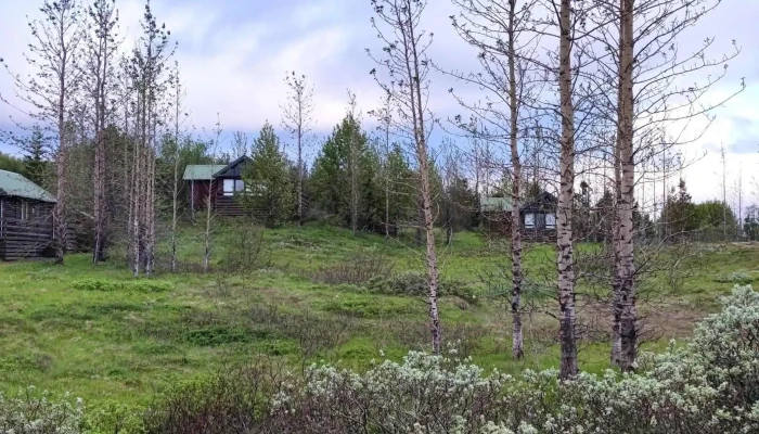 Orlofshus Vid Ulfljotsvatn Umsagnir - Ísland