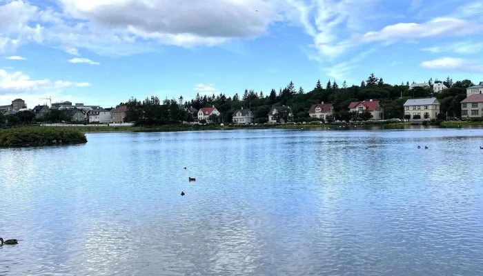 Othekkti Embaettismadurinn   Magnus Thomasson Einkunn - Reykjavík