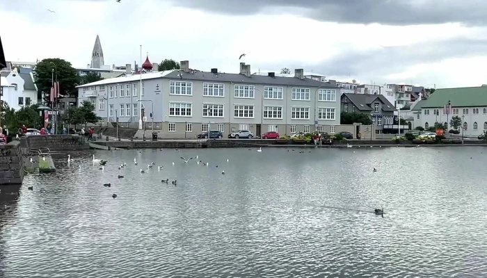 Othekkti Embaettismadurinn   Magnus Thomasson Umsagnir - Reykjavík
