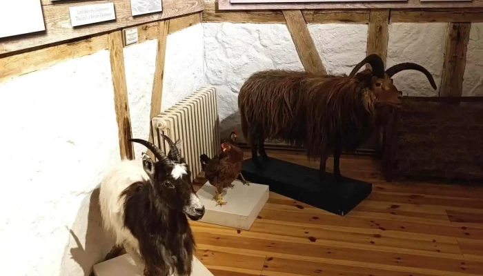 Pakkhusid Byggdasafn Hafnarfjardar Nyjast - Hafnarfjörður