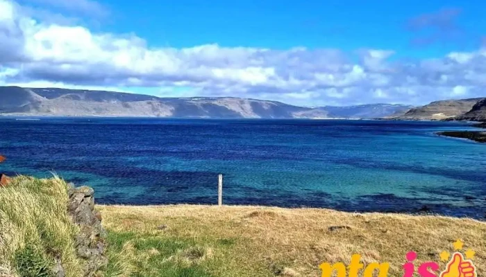 Patreksfjarðarflugvöllur - Sauðlauksdalur