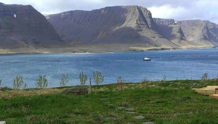 Pollurinn -  Athugasemdir - Tálknafjörður