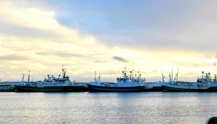 Port De Grindavik -  Kynning - Grindavík