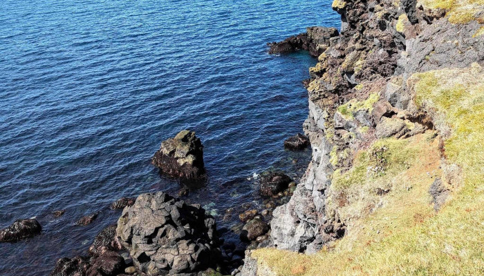 Puffins Of Westman Isles -  Simi - Vestmannaeyjabær