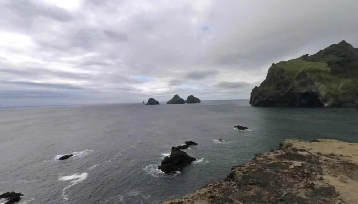 Puffins Of Westman Isles -  Street View 360deg - Vestmannaeyjabær