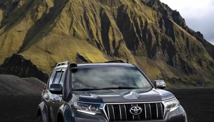 Pure Iceland Tours -  Ferðaþjonustufyrirtæki - Vík