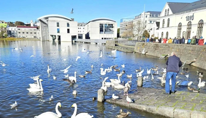 Radhus Reykjavikur Aætlun - Reykjavík