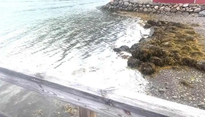 Randulfs Sea House Myndskeid - Eskifjorður