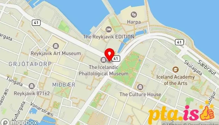 kort yfir Regus - Reykjavik, Harbour Square Leiga á skrifstofurými, Viðskiptamiðstöð, Sameiginlegt vinnusvæði, Sýndarskrifstofuleiga í Reykjavík