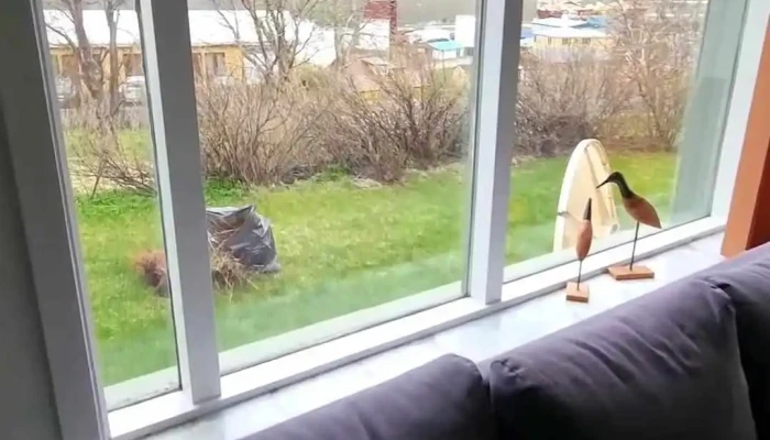 Reydarfjordur Apartment -  Myndskeid - Reyðarfjörður