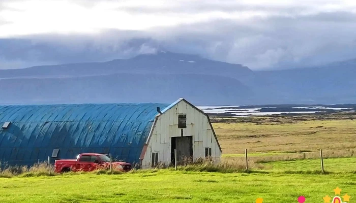 Reykholar Hi Hostel Naerumhverfi - Reykhólar