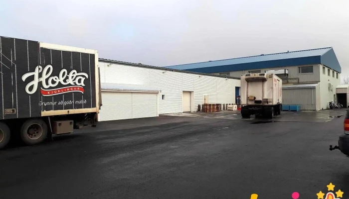 Reykjagardur Hf Garðyrkja Og Garðþjonusta - Hella