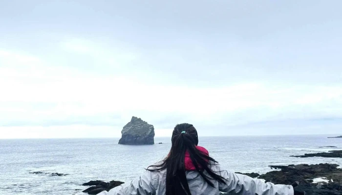 Reykjanes -  Athugasemdir - Iceland