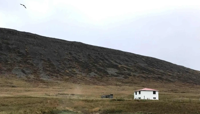 Reykjarfjordur By Fjord Arnarfjordur -  Kynning - Bíldudalur