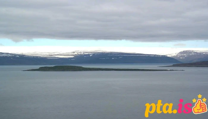 Reykjarfjordur Fjorður - Iceland