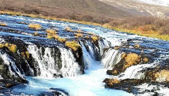 Reykjaskógur - Bláskógabyggð
